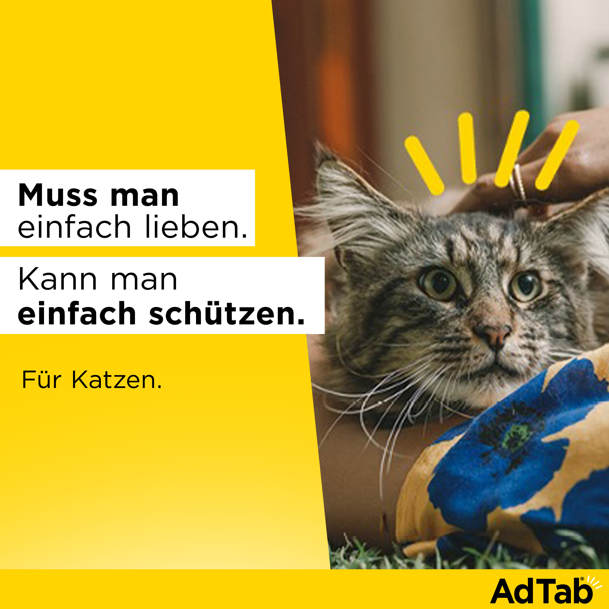 ADTAB 48 mg Kautabletten für Katzen >2-8 kg