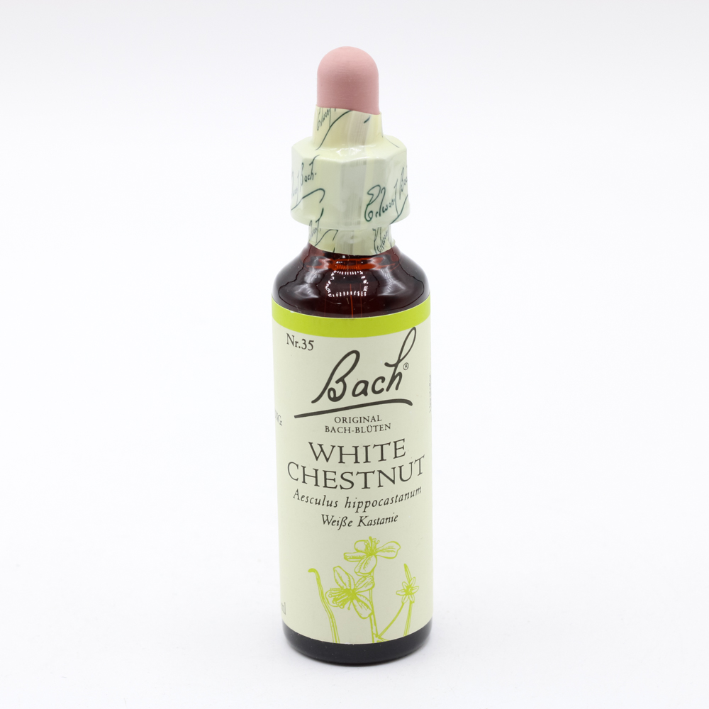 BACHBLÜTEN White Chestnut Tropfen