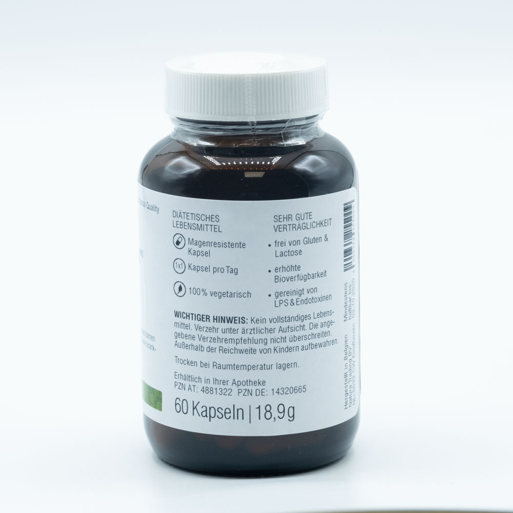 LACTOFERRIN 120 mg magensaftresistente Kapseln