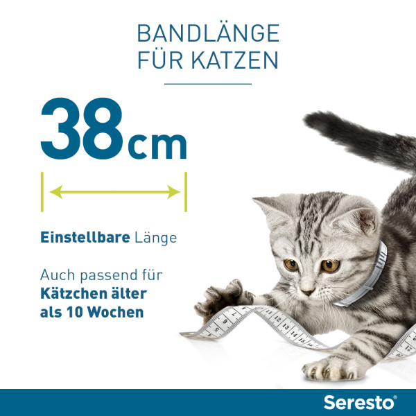 SERESTO Halsband f.Katzen