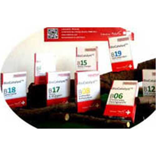 BIOCATALYST B12 männliche Leistungsfähigkeit Kaps.