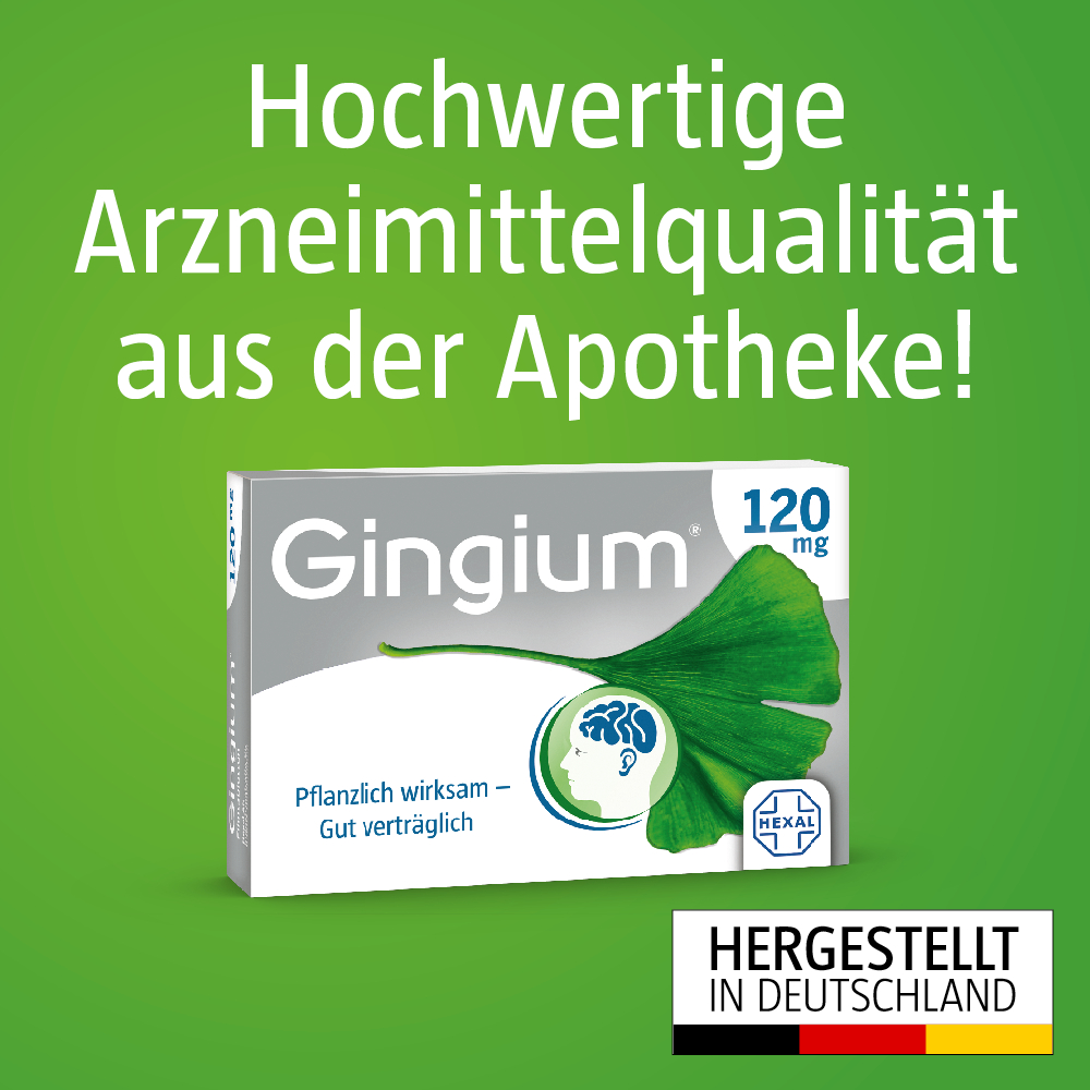 Gingium® 240 mg Filmtabletten Doppelpackung (2x120St)