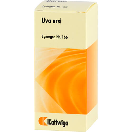 SYNERGON KOMPLEX 166 Uva ursi Tropfen